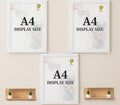 A4 display size photo frame combo 3