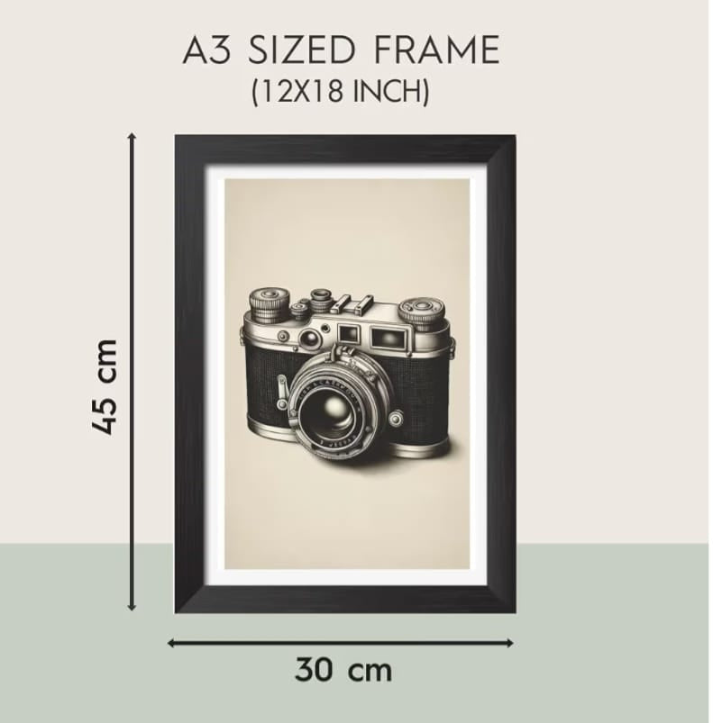 Camera Wall Decor 13 * 19 inch framed poster